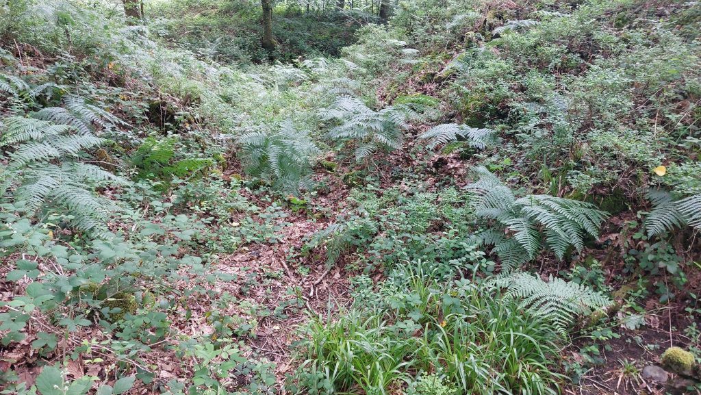 17. Northerly outflow from Dressing Floor 3 area