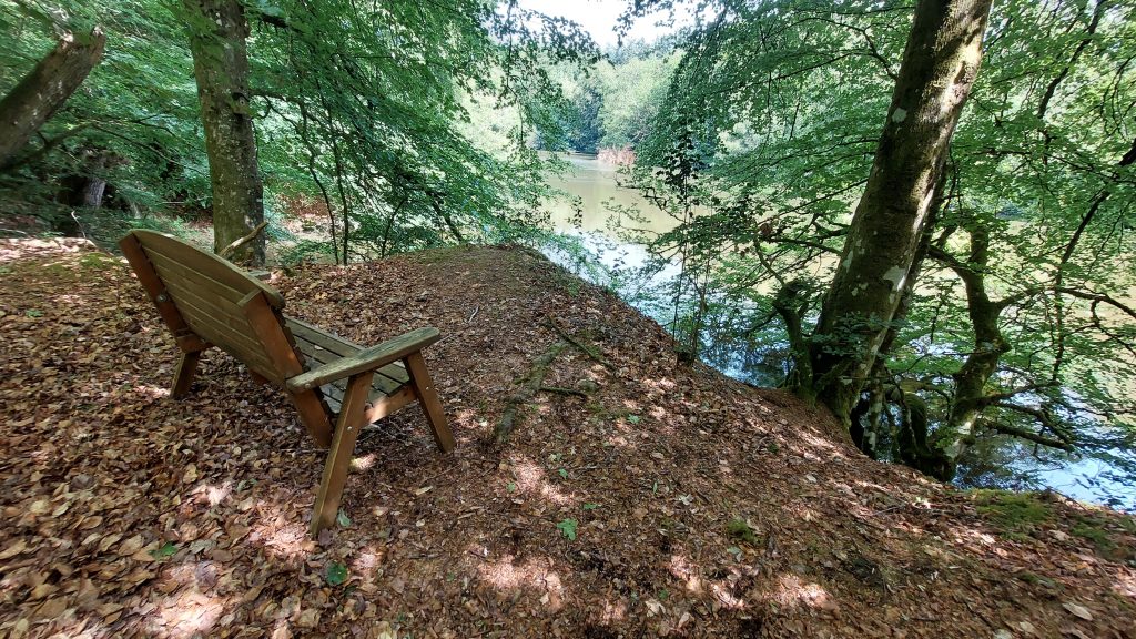 3. Bench
