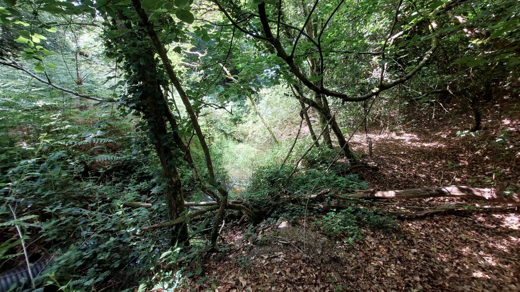 3b. Drainage