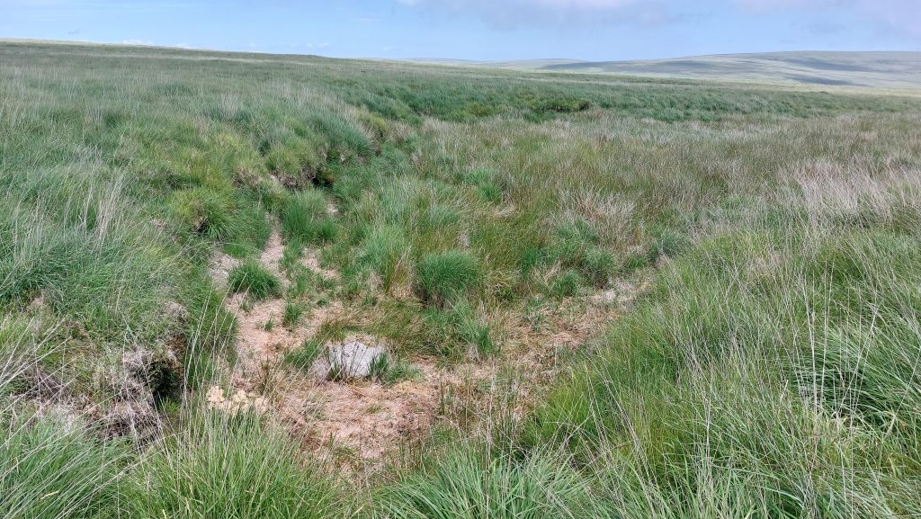 4. Bledge Brook Head