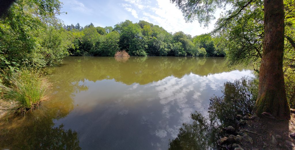 4. Bradford Pool