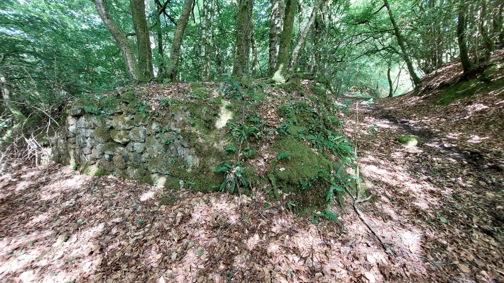 4. Structure