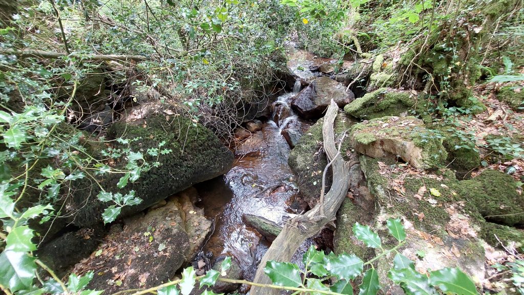 4. White Water by Clapper