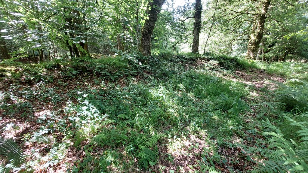 6. Small Reservoir