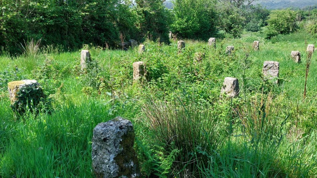 6b. Staddle Stones