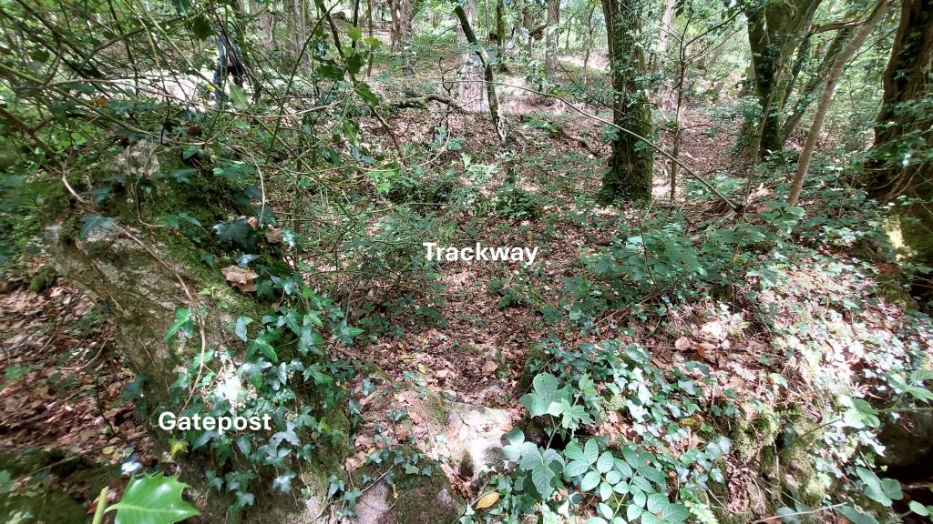 8. Gatepost and Trackway
