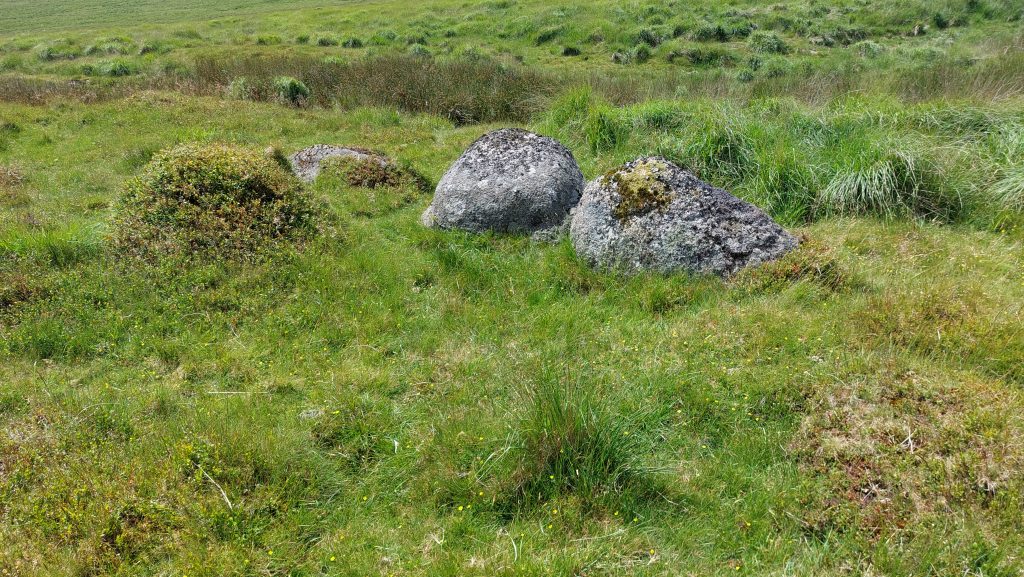 8. Possible Tinners Hut a
