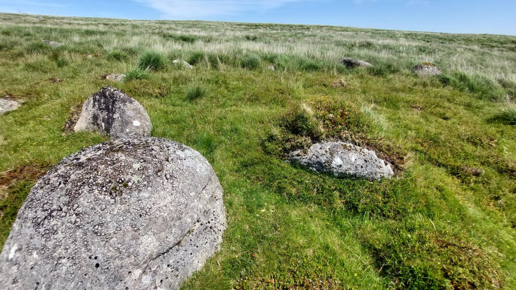 8. Possible Tinners Hut b