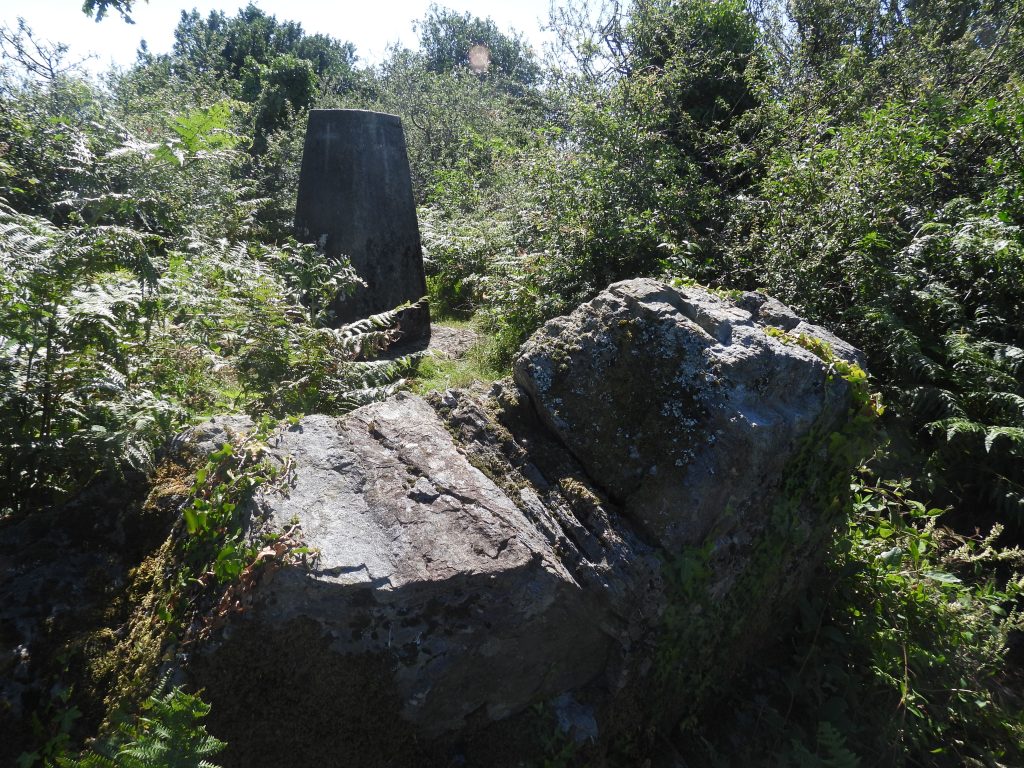 10. Henlake Rock and Trig