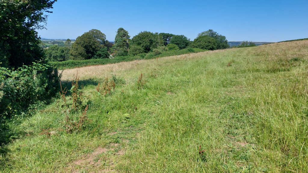 14. View from lane between Langham and Henlake Down
