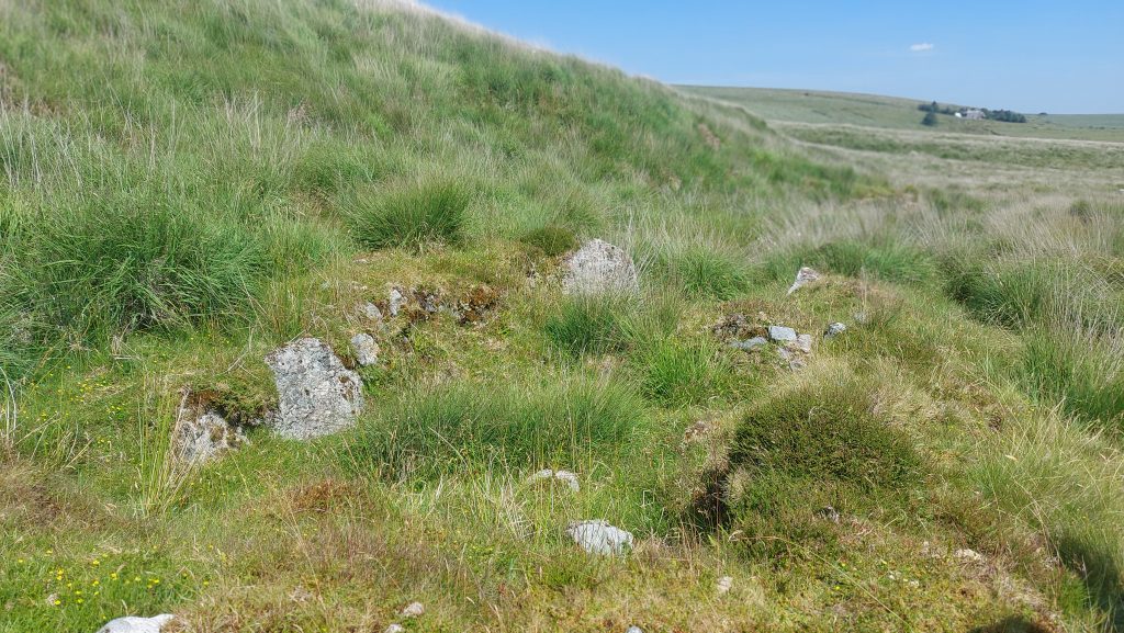 17. Tinners Hut north of Newtake Wall
