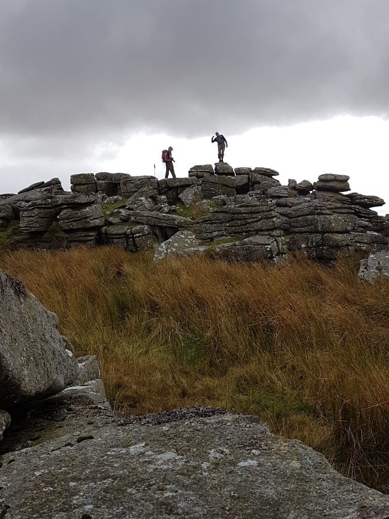 18b. Wild Tor
