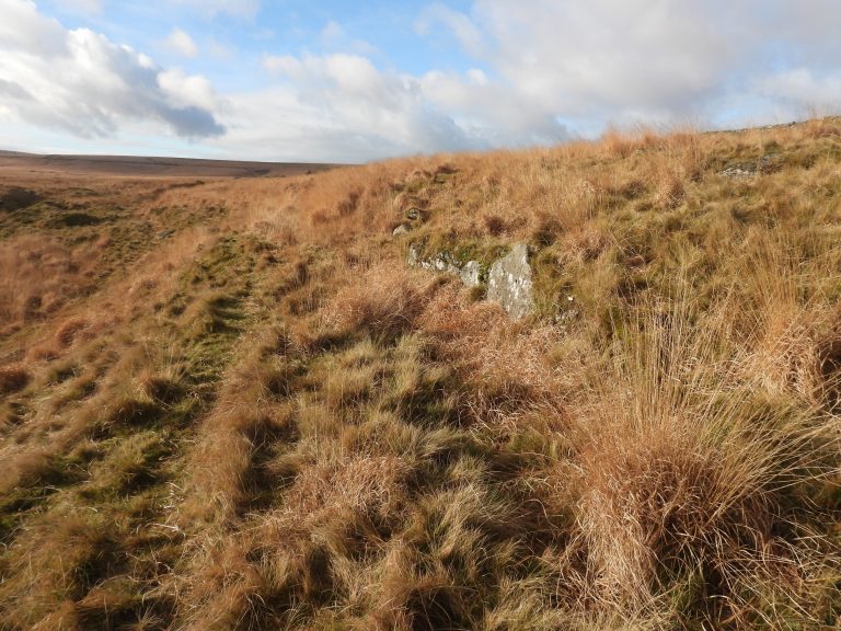 20. Tinners Hut 2