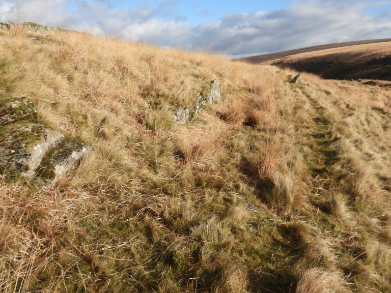 21. Tinners Hut 2