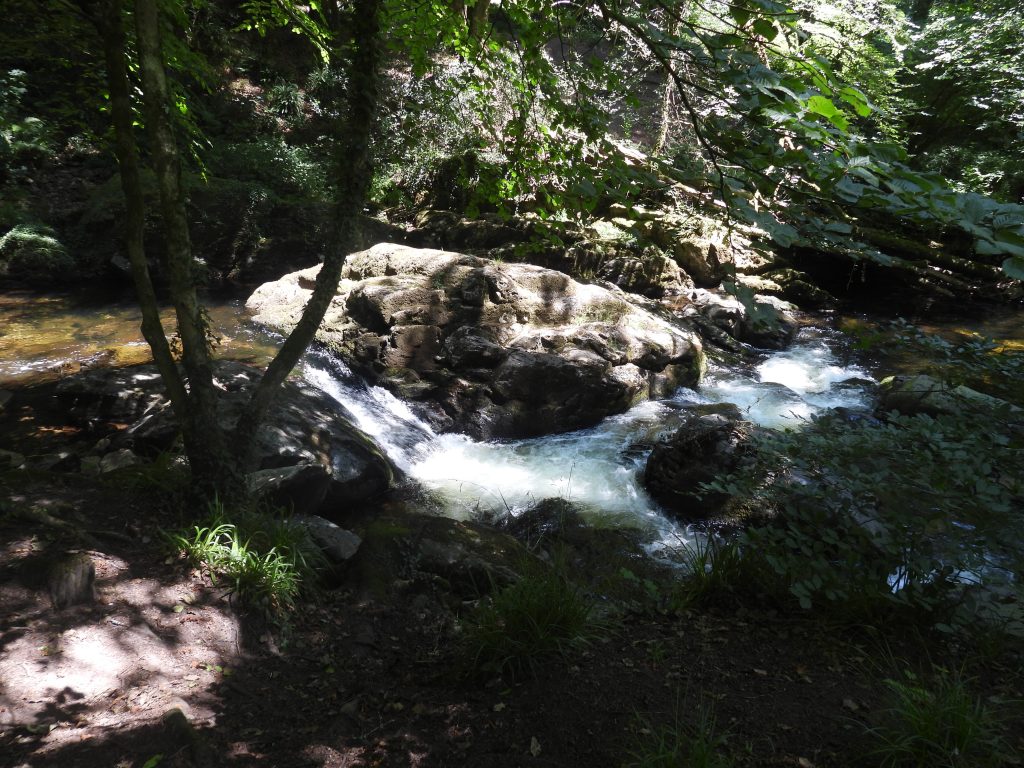 4. Erme a