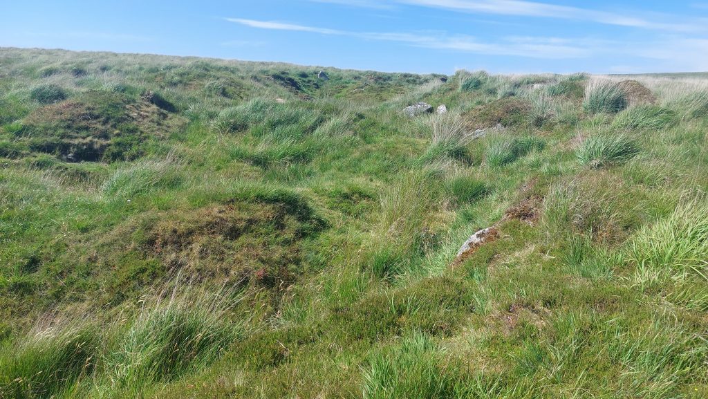 4. Lode Back Pits at SX61011 69612
