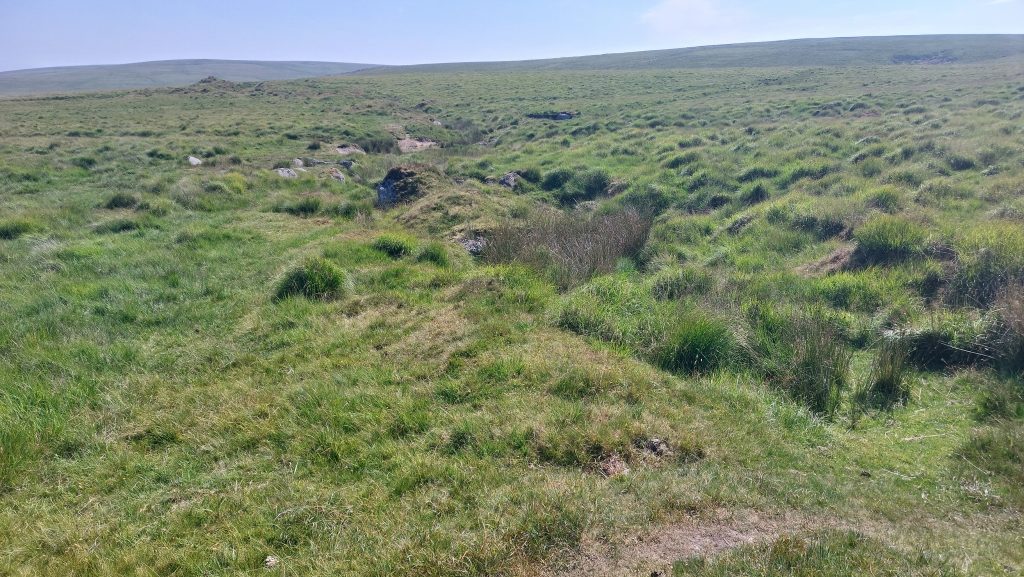 5. Lode Back Pits a