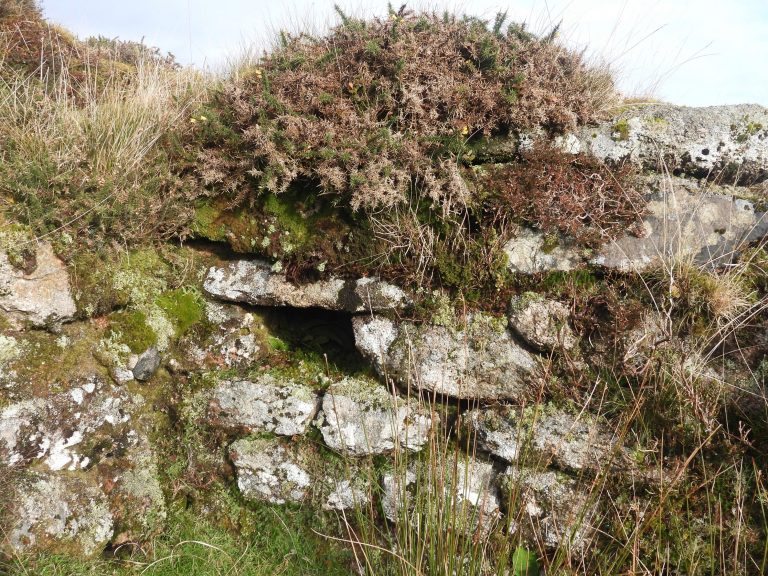 55. Tinners Hut 3 - Sam Parr's House - Cache