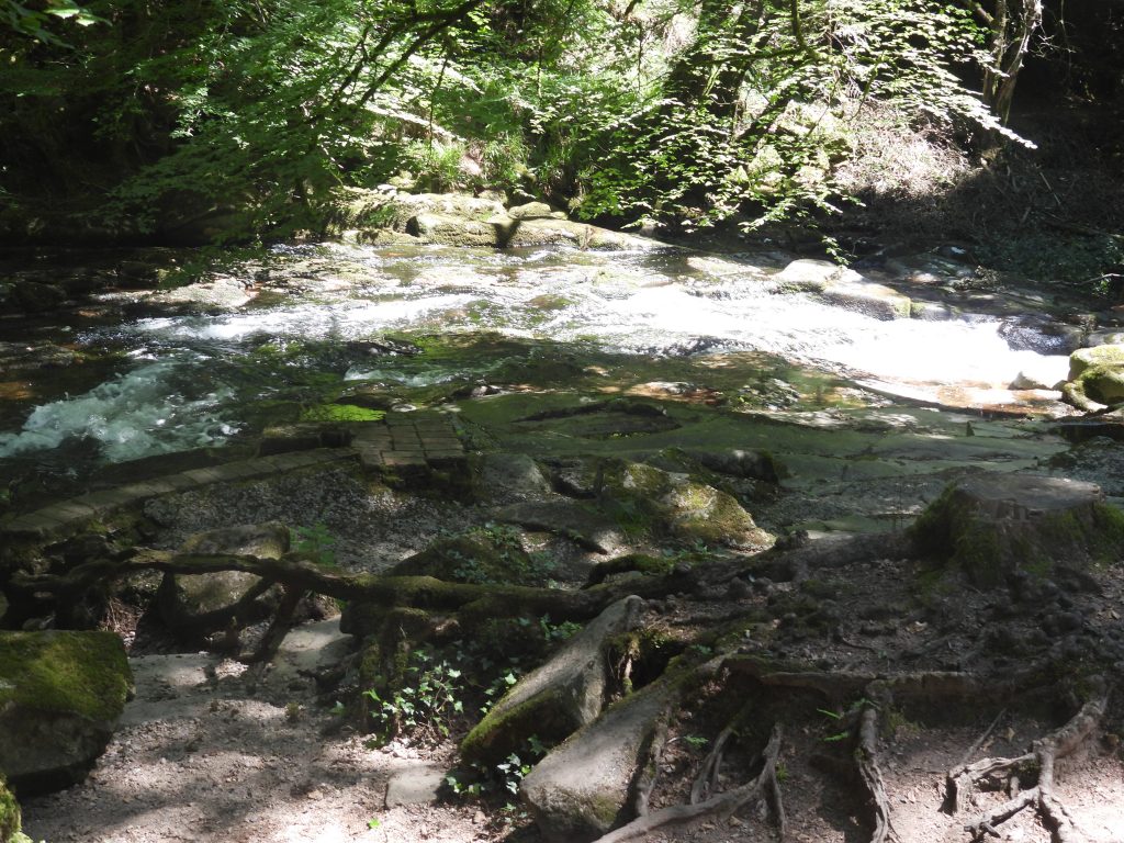 7. Erme
