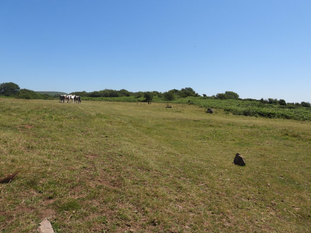 8. Henlake Down a