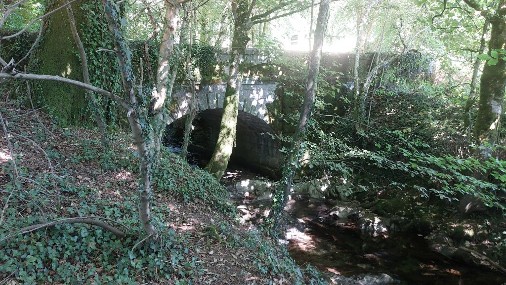 1. Bridge a