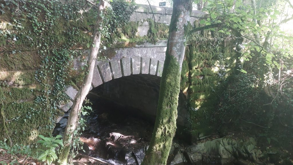 1. Bridge b