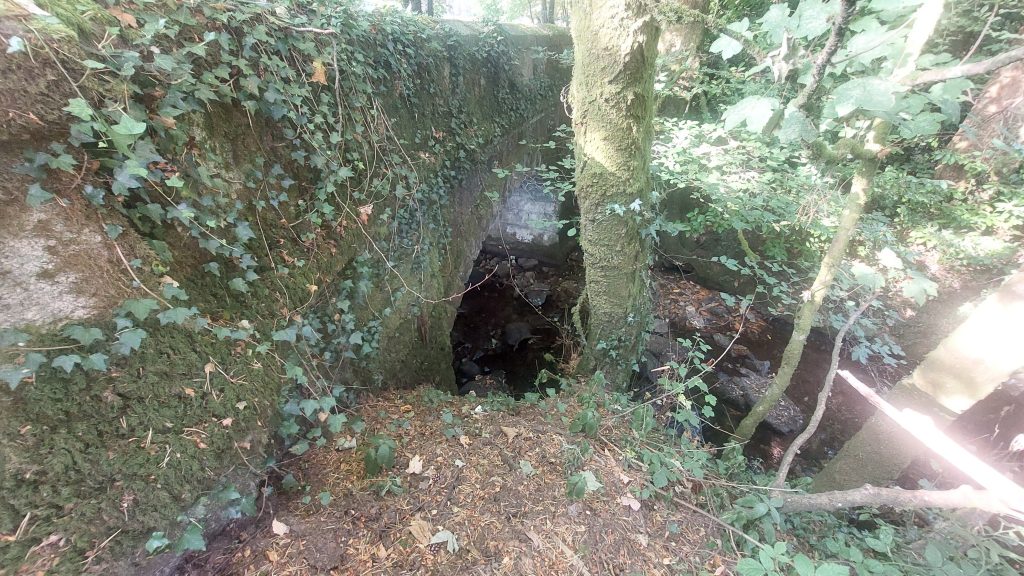 1. Bridge c