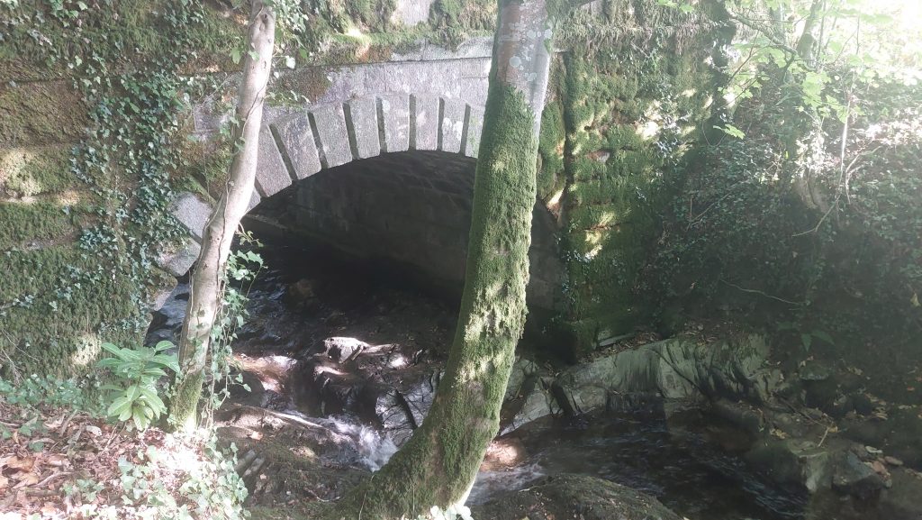 1. Bridge d