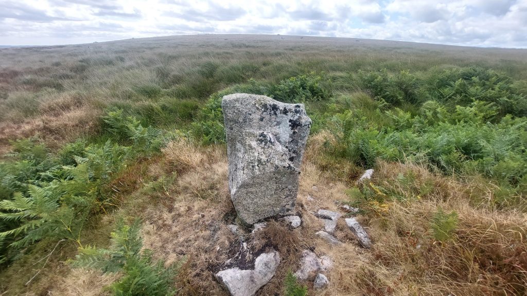 10b. TP Stone