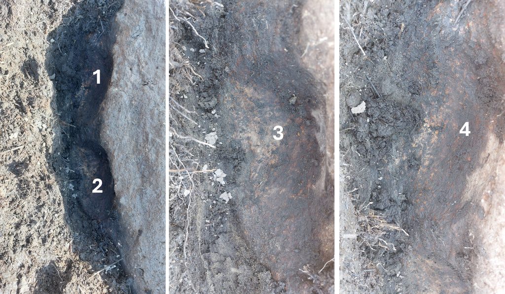 10c. E - Mortarstone with 4 Hollows - partly buried