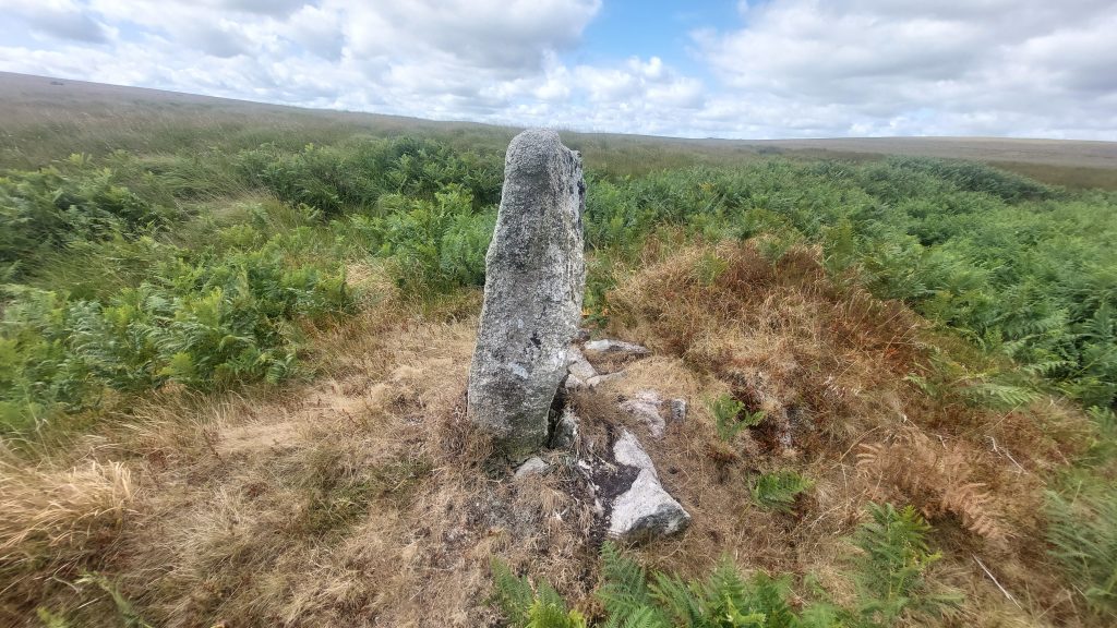 10c. TP Stone