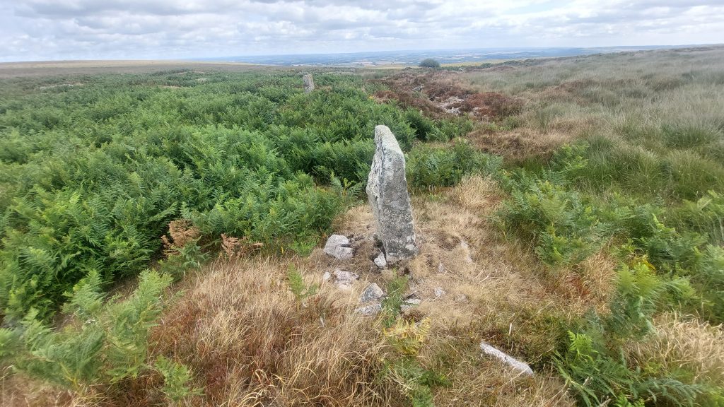 11. ST Stone from TP Stone