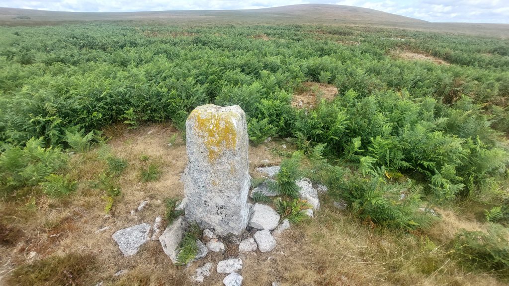 11c. ST Stone