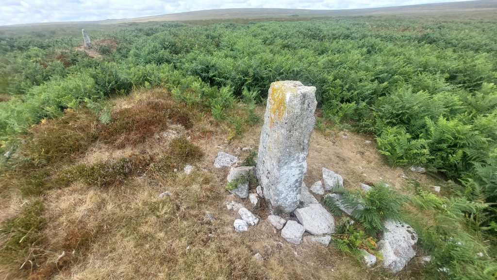 11d. TP Stone from ST Stone
