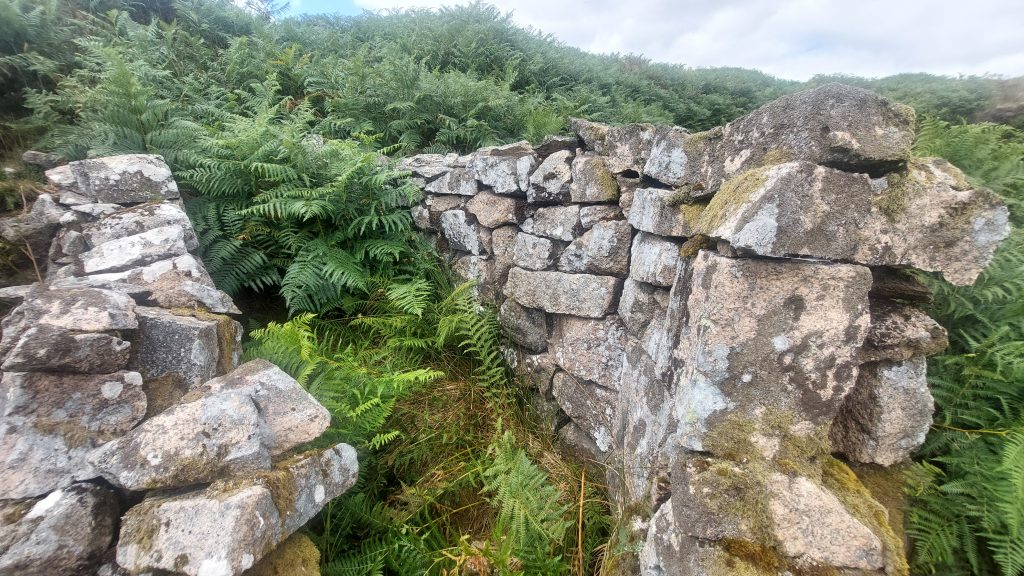 11f. Bert Gratton's Hut 3