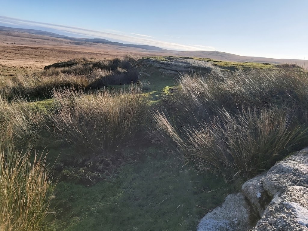 12b. Hound Tor