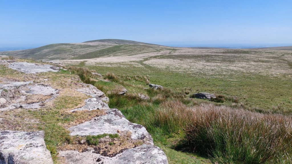 12c. Hound Tor