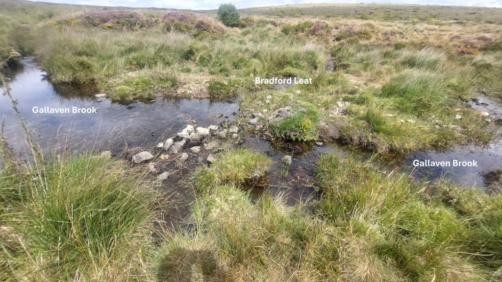 1b. Gallaven Brook Take Off Point annotated