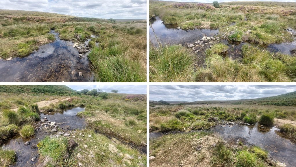 1c. Gallaven Brook Take Off Point Collage