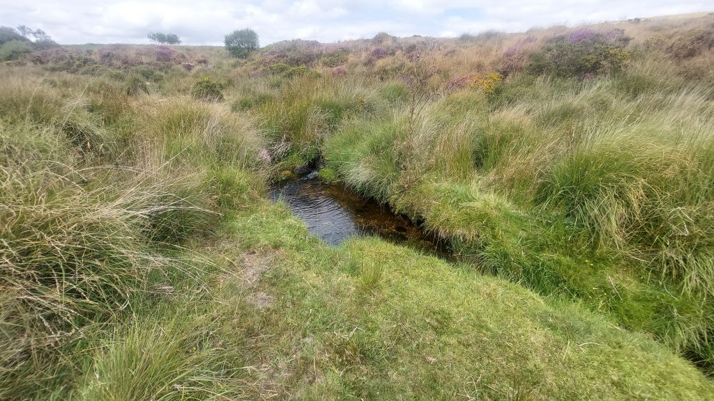 2. Early Part of Leat