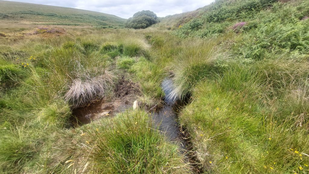 2. Leat Repair