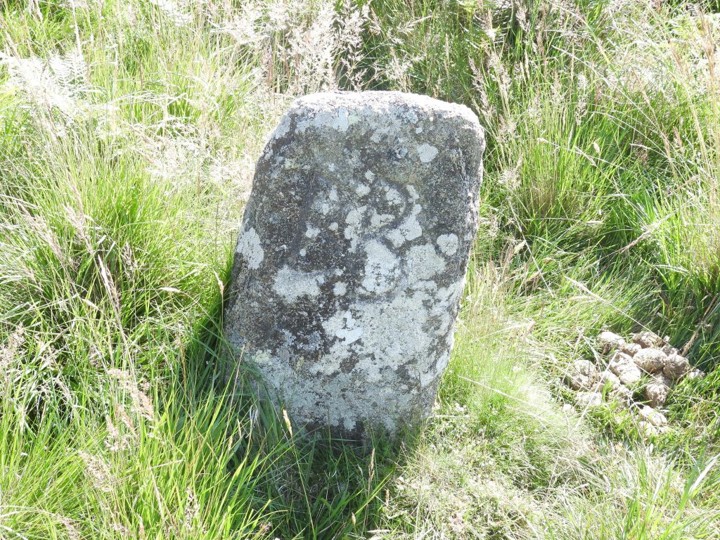 2c. BB