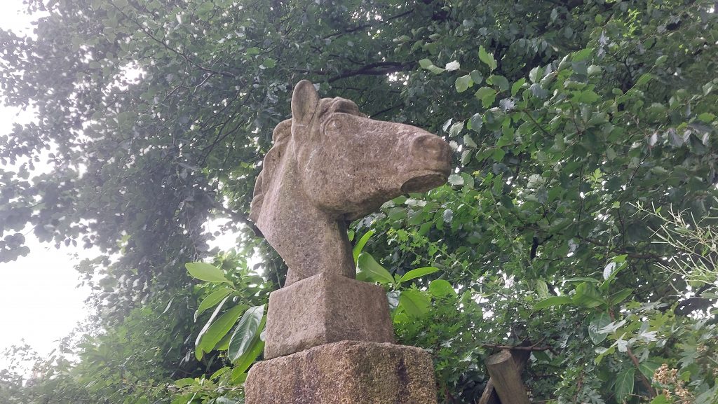 3. Horse Head 1
