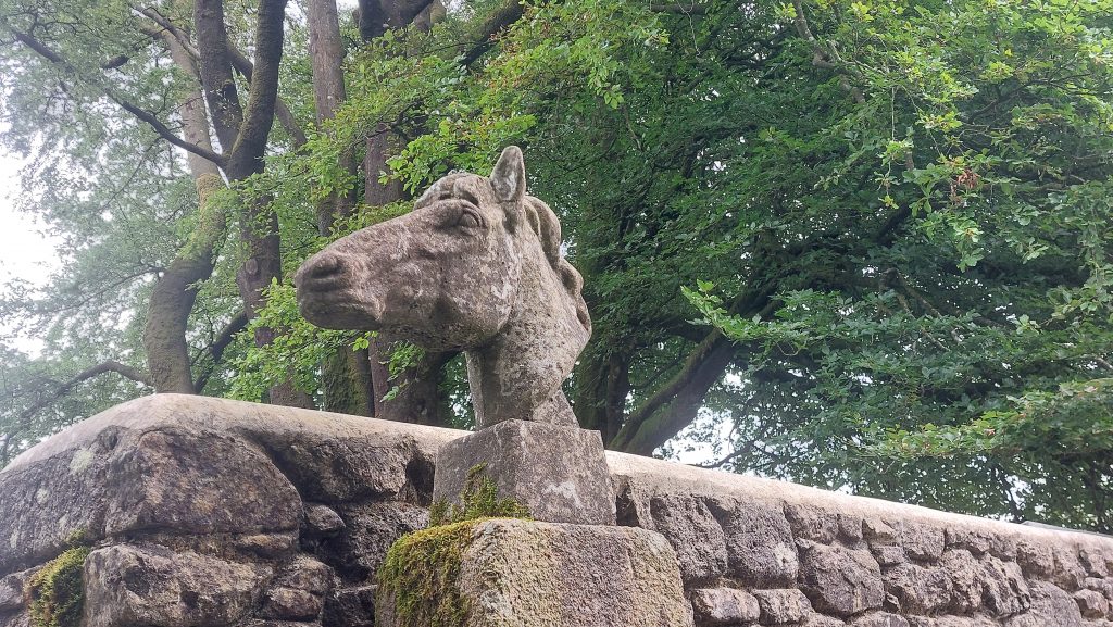 3. Horse Head 2