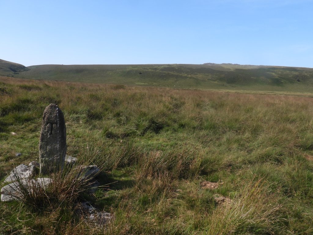 4b. T Stone