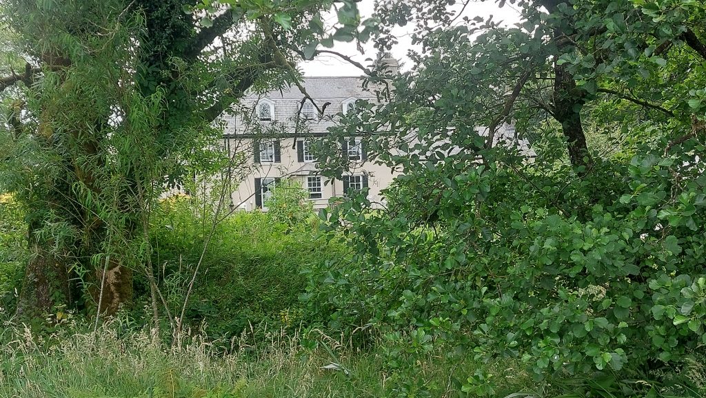 5. Tor Royal through Trees
