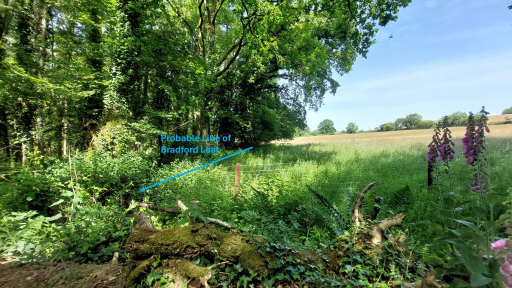 6. Bradford Leat Line