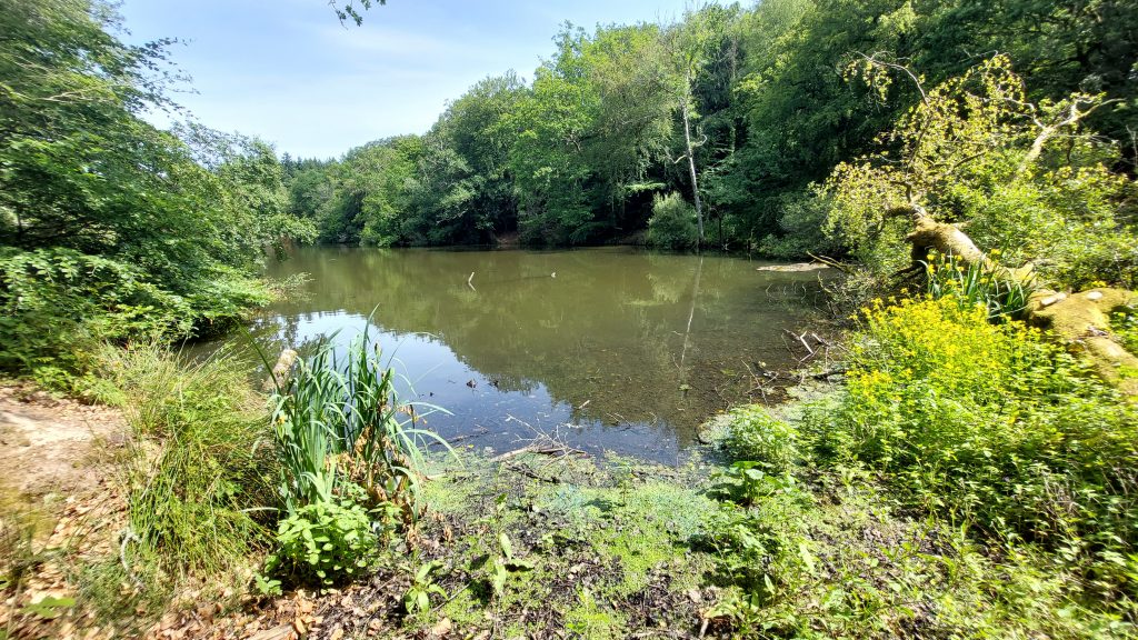 6. Bradford Pool