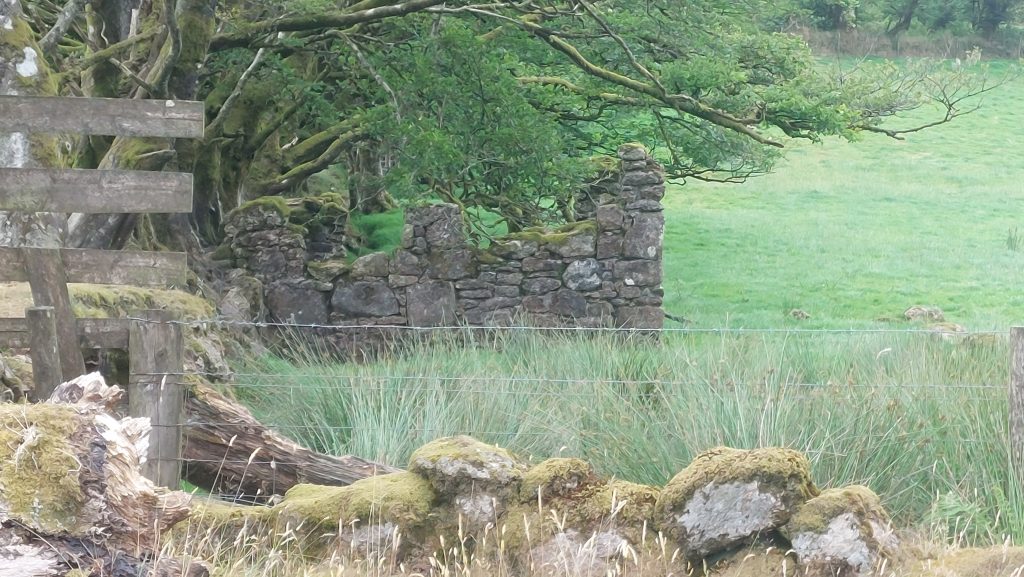 6. Folly from the Leat