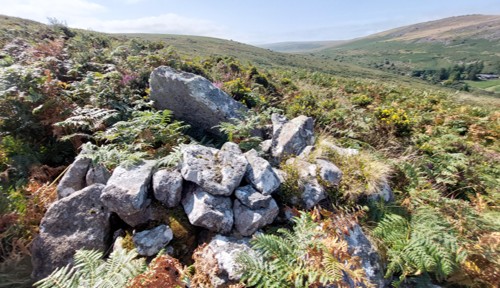 6. Rock Shelter a